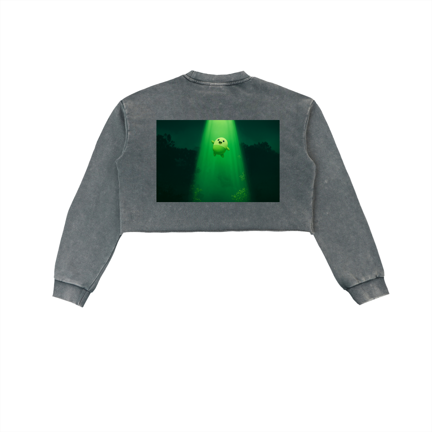 Snow Washed Raw Edge Cropped Sweatshirt