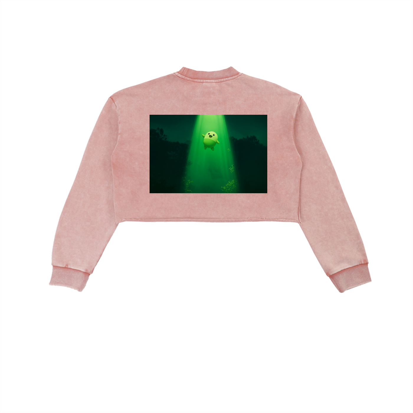 Snow Washed Raw Edge Cropped Sweatshirt
