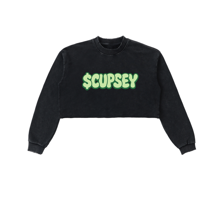 Snow Washed Raw Edge Cropped Sweatshirt