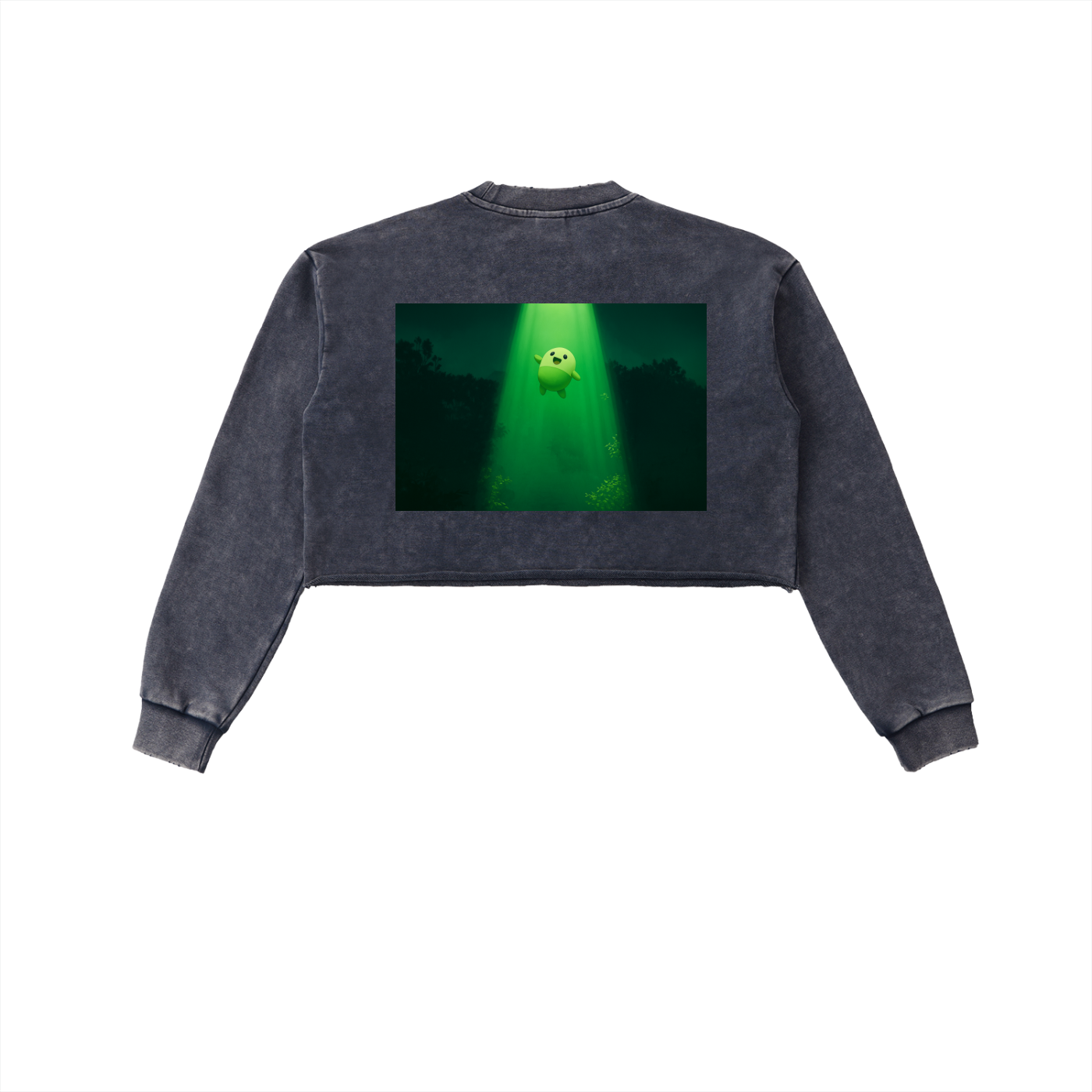 Snow Washed Raw Edge Cropped Sweatshirt