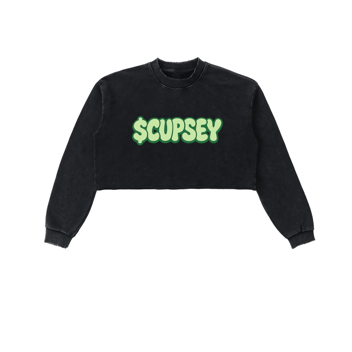 Snow Washed Raw Edge Cropped Sweatshirt