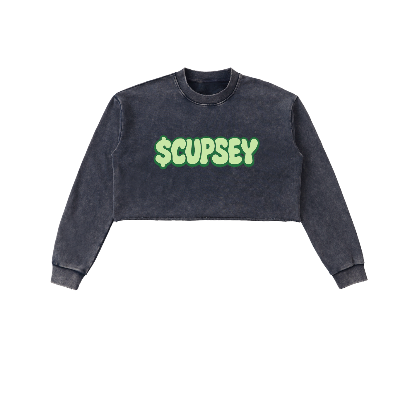 Snow Washed Raw Edge Cropped Sweatshirt