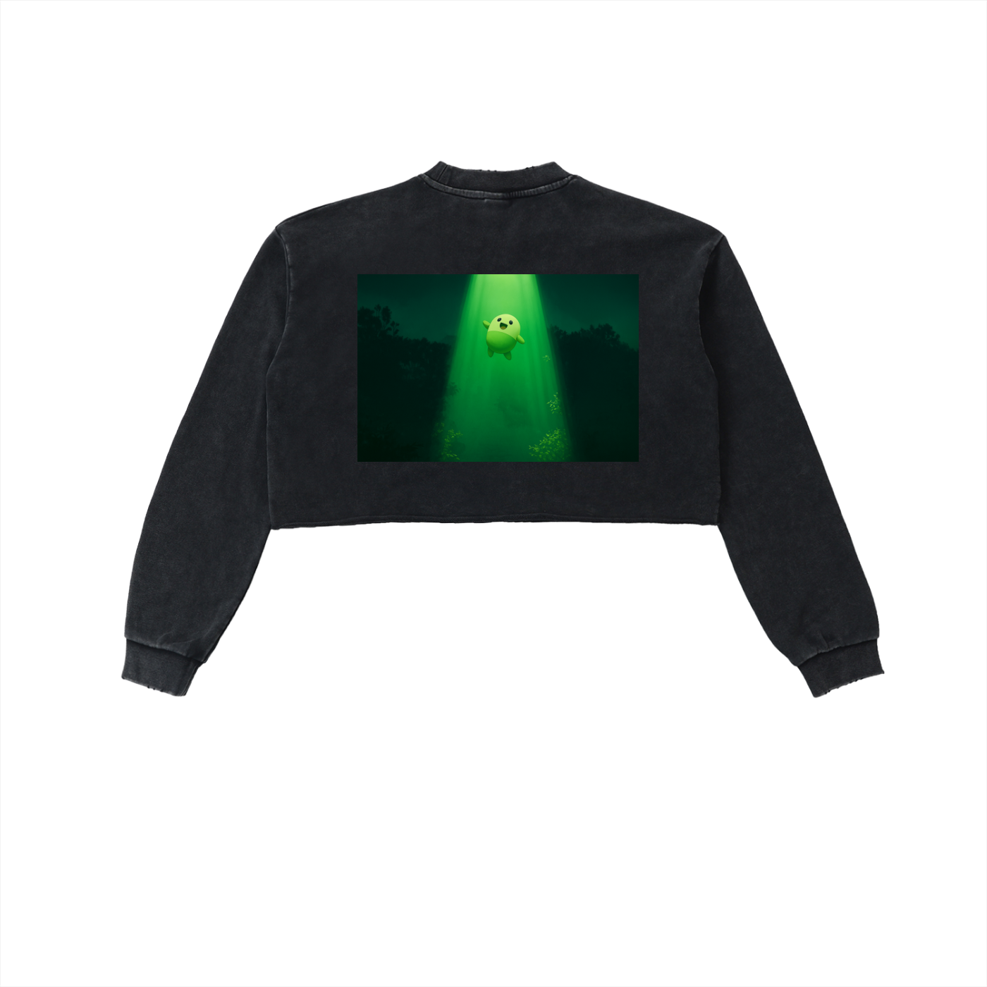 Snow Washed Raw Edge Cropped Sweatshirt